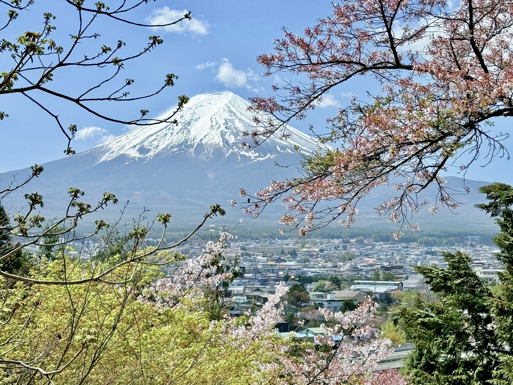 Mount Fuji & Gotemba Outlet Day Tour