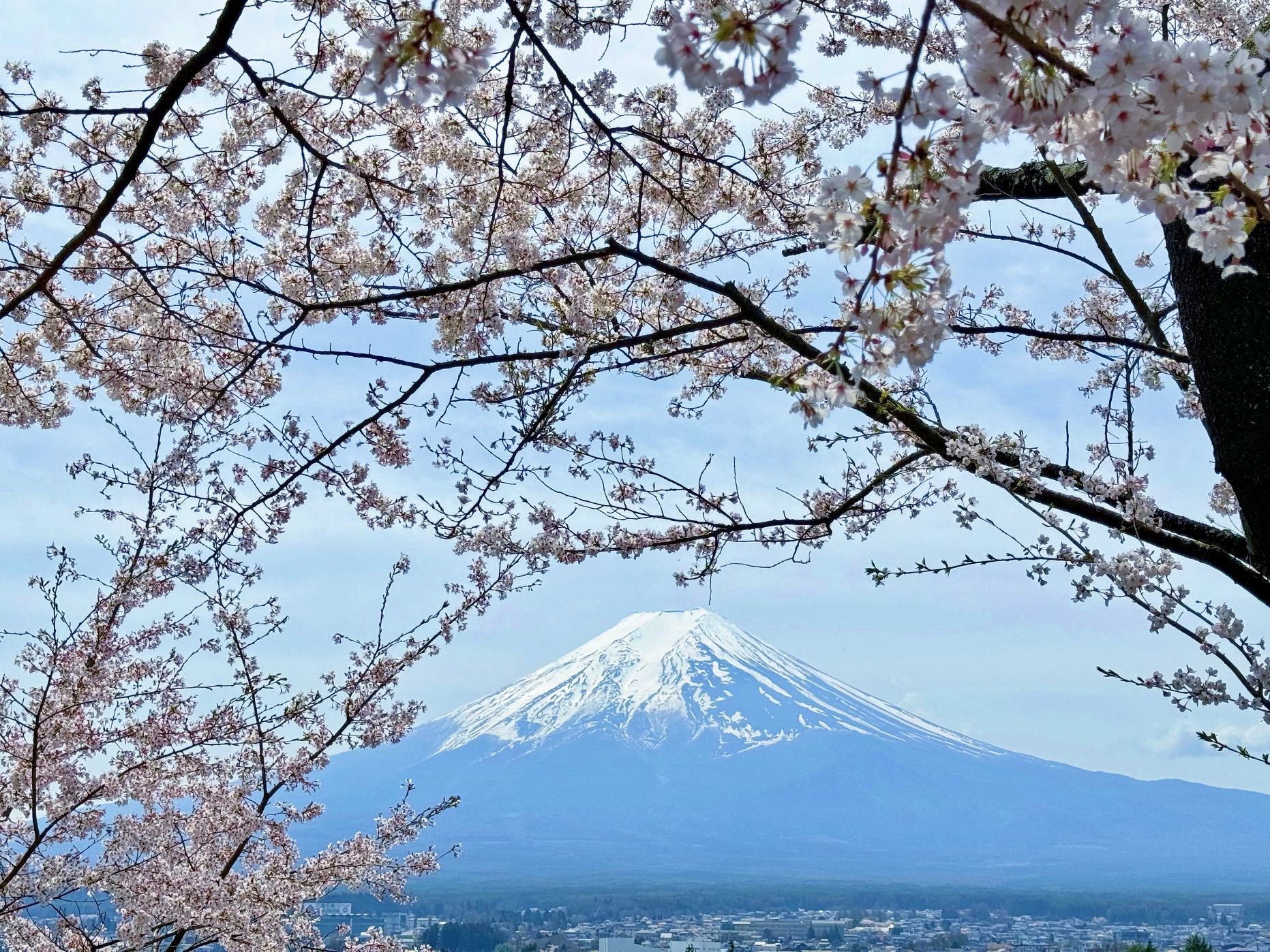 Mount Fuji & Gotemba Outlet Day Tour
