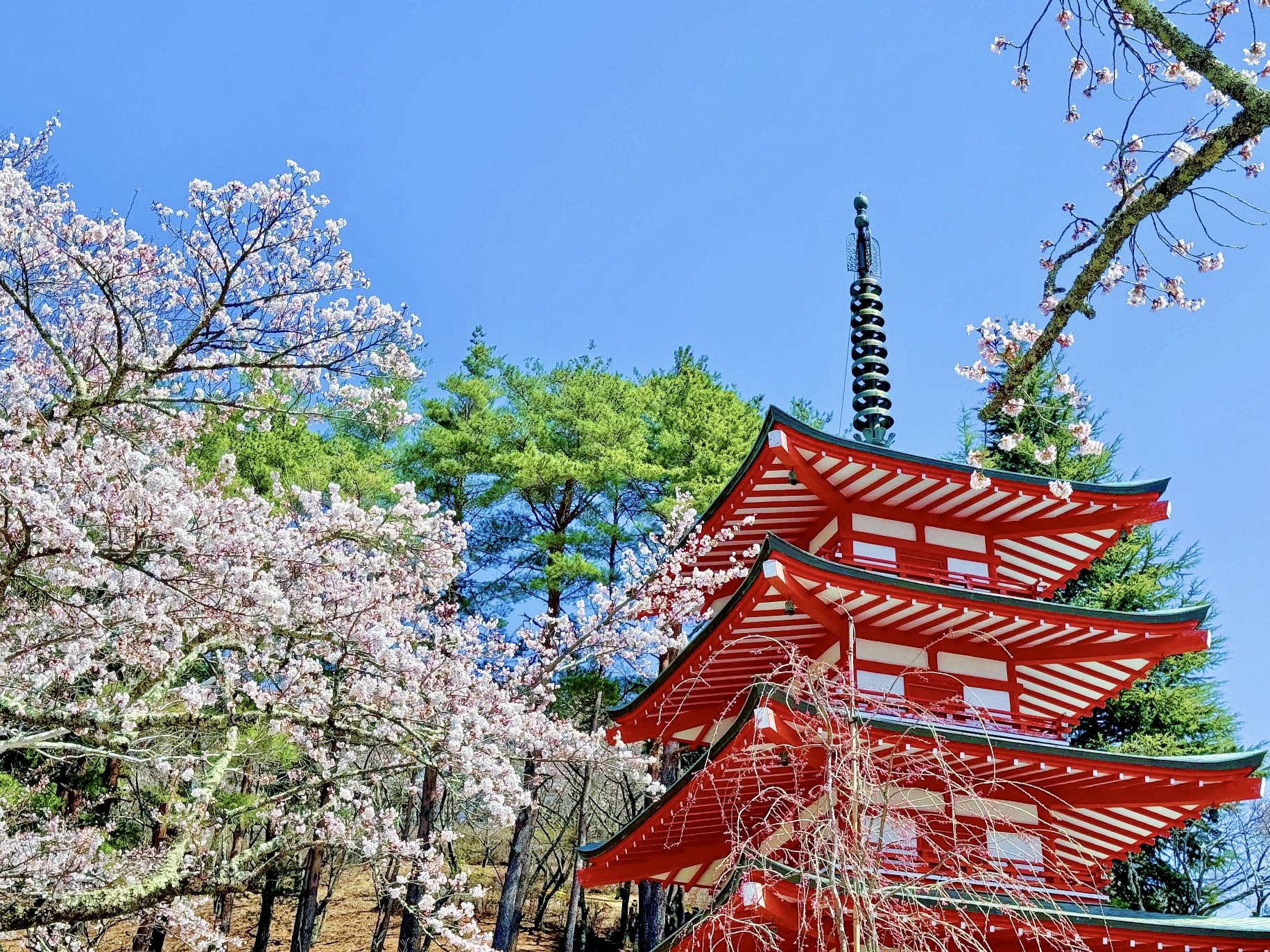 Mount Fuji & Gotemba Outlet Day Tour