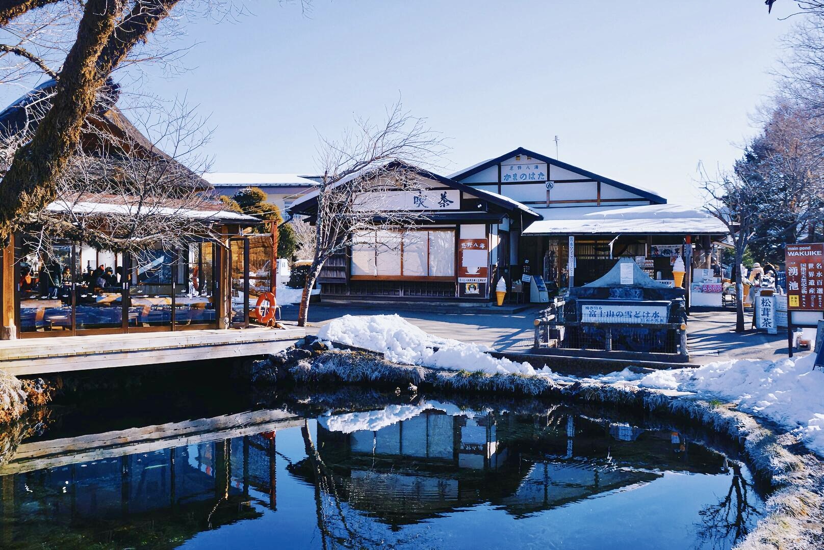 Mount Fuji & Gotemba Outlet Day Tour
