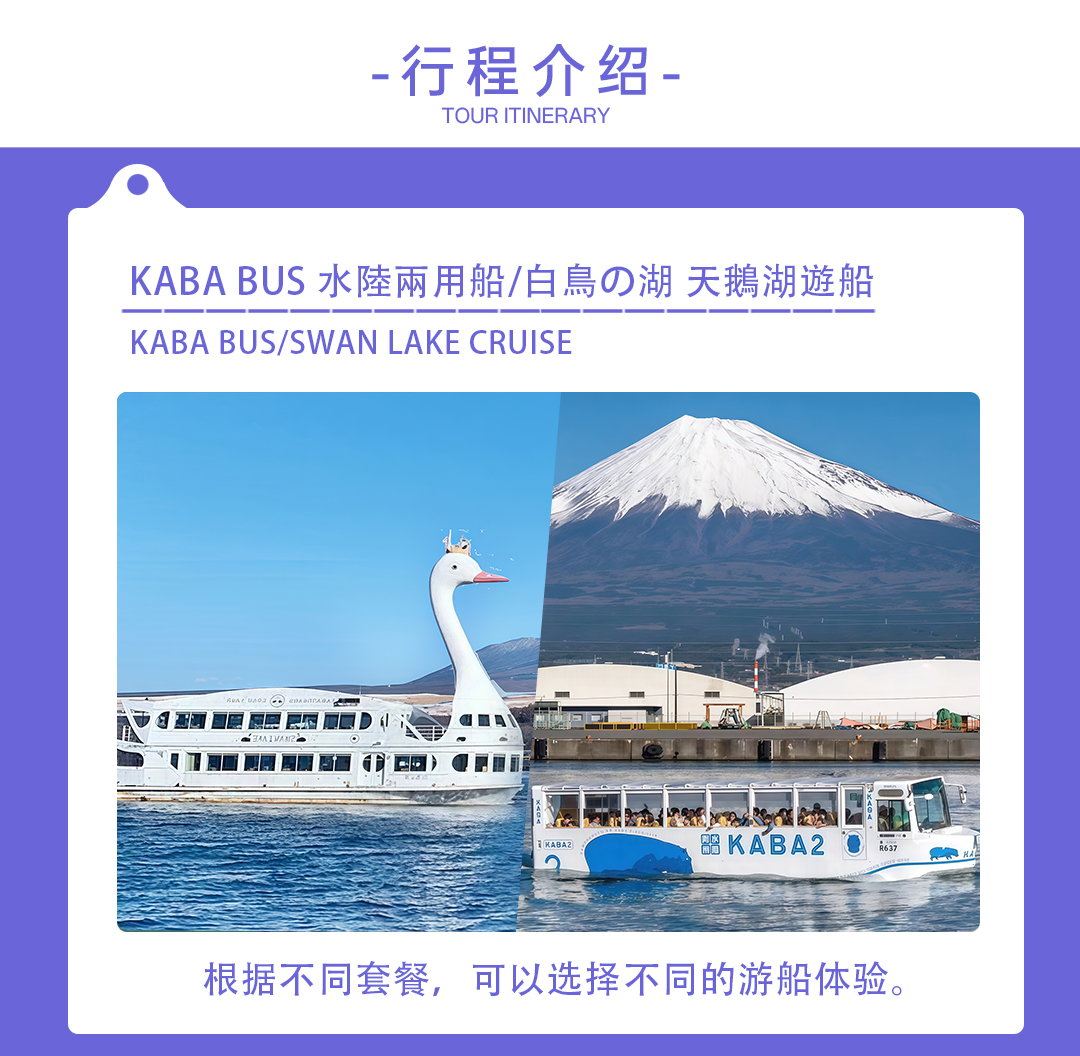 Popular Mount Fuji Day Tour