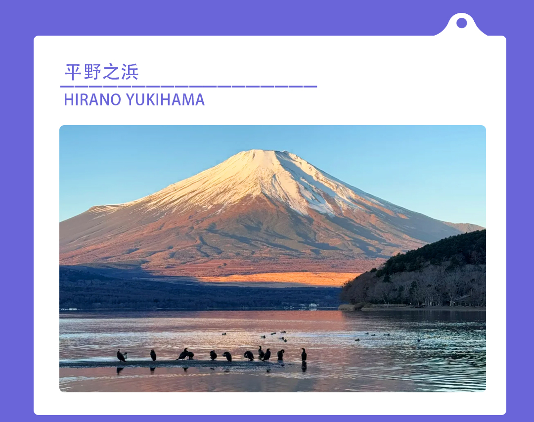 Popular Mount Fuji Day Tour