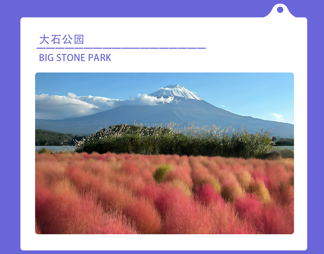 Popular Mount Fuji Day Tour