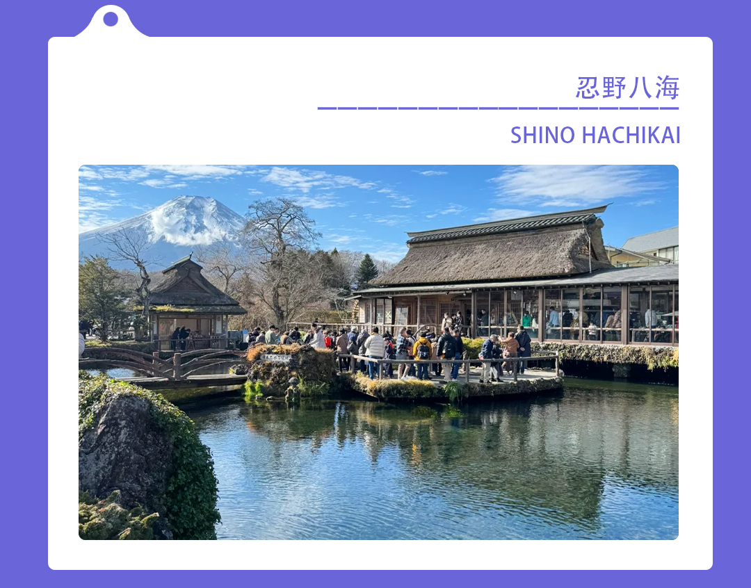 Popular Mount Fuji Day Tour
