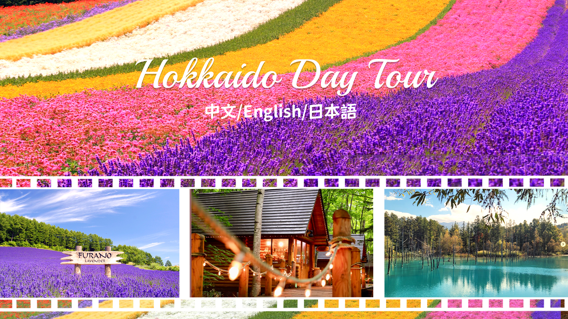 Hokkaido Furano One-Day Tour